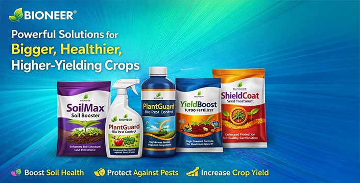 promotion banner